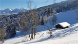 Winterwanderweg+Alberschwende+-+Kaltenbrunnen+%5b009%5d
