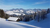Winterwanderweg+Alberschwende+-+Kaltenbrunnen+%5b010%5d