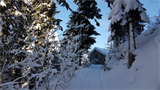 Winterwanderweg+Alberschwende+-+Kaltenbrunnen+%5b011%5d