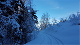 Winterwanderweg+Alberschwende+-+Kaltenbrunnen+%5b012%5d