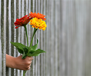 Netzwerk Familie-Gesunde Nachbarschaft - Blumen in Hand