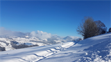 Alberschwende+im+Winter-2019-02-04+13.17.34
